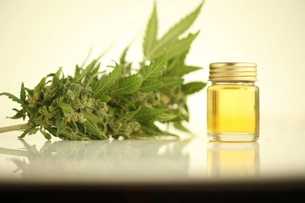 Marihuana Medizinisches Cannabisöl Cbd — Stockfoto