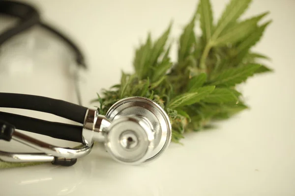 Marihuana Medizinisches Cannabisöl Cbd — Stockfoto