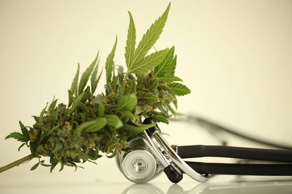Marijuana Olio Cannabis Medica Cbd — Foto Stock