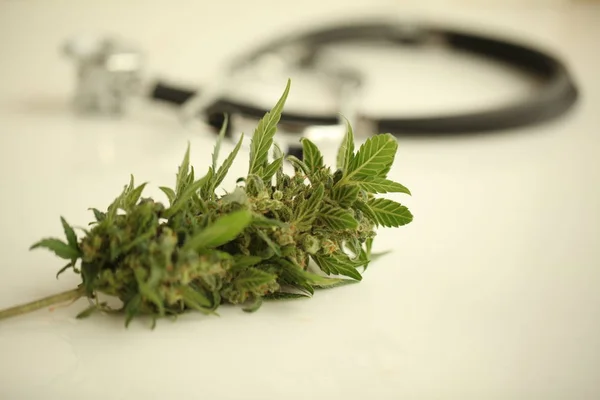 Marijuana Huile Cannabis Médical Cbd — Photo