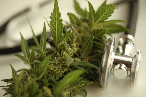 Marihuana Medicinal Aceite Cannabis Cbd —  Fotos de Stock