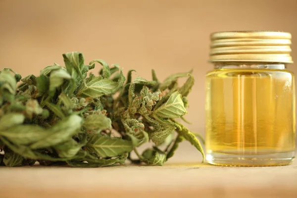 Marihuana Medicinal Aceite Cannabis Cbd — Foto de Stock