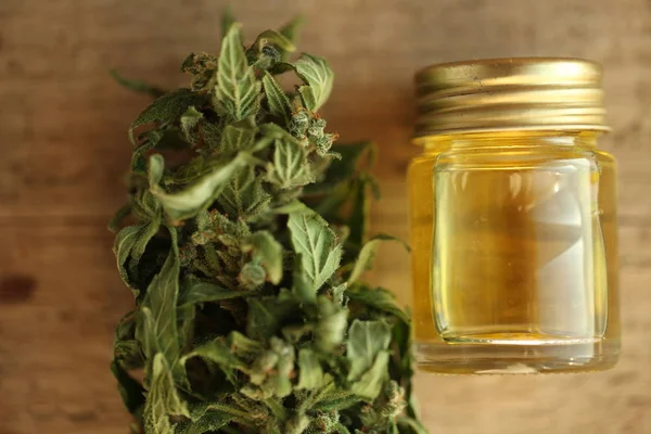 Marijuana Olio Cannabis Medica Cbd — Foto Stock