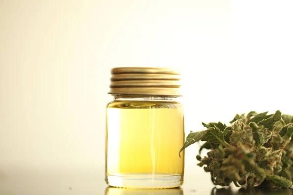 Marijuana Medical Cannabis Oil Cbd — Stock Photo, Image