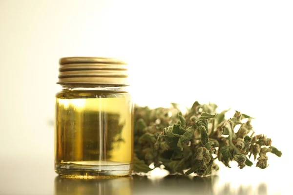 Marihuana Medicinal Aceite Cannabis Cbd — Foto de Stock