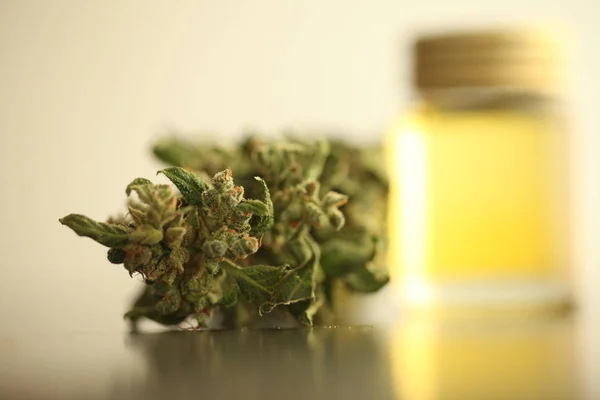 Marihuana Medicinal Aceite Cannabis Cbd — Foto de Stock