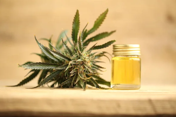 Marihuana Medicinal Recreación Cannabis Aceite Cbd — Foto de Stock