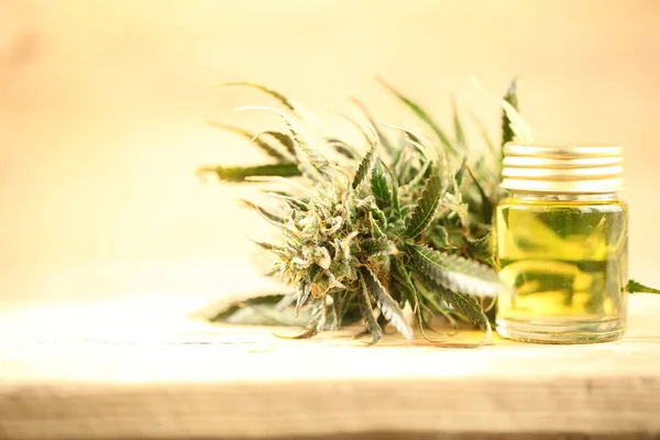 Marijuana Medical Recreation Cannabis Oil Cbd — Stock Photo, Image