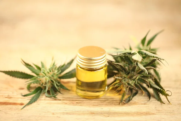 Marihuana Medicinal Recreación Cannabis Aceite Cbd — Foto de Stock