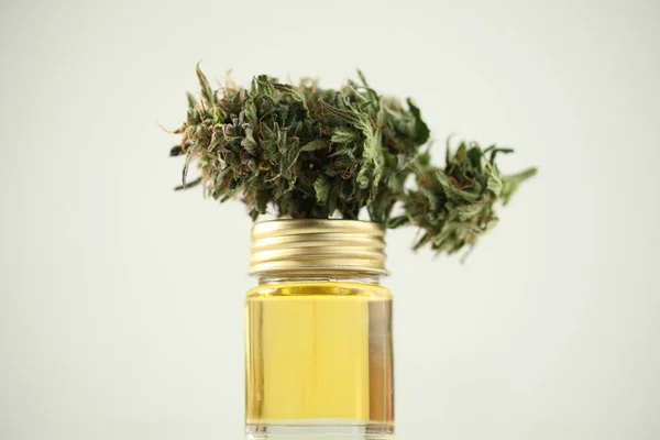 Marihuana Medicinal Recreación Cannabis Aceite Cbd — Foto de Stock