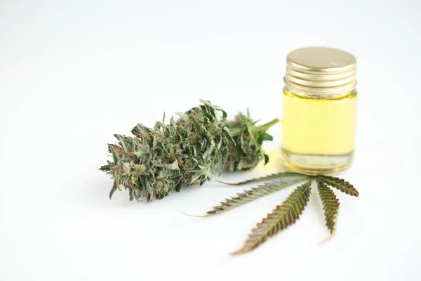Marihuana Medische Recreatie Cannabis Olie Cbd — Stockfoto