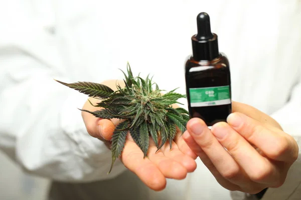 Mão Médico Segurar Oferecer Paciente Maconha Medicinal Óleo Receita Cannabis — Fotografia de Stock