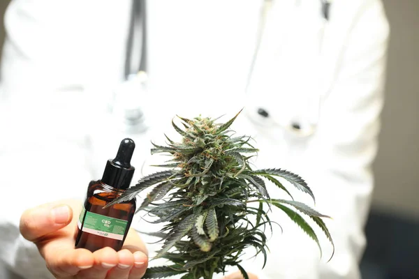 Mão Médico Segurar Oferecer Paciente Maconha Medicinal Óleo Receita Cannabis — Fotografia de Stock