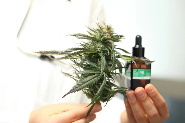 Médico Asimiento Mano Ofrecer Los Pacientes Marihuana Medicinal Aceite Receta — Foto de Stock