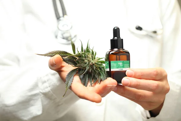 Doctor Hand Hold Offer Patient Medical Marijuana Oil Cannabis Recipe — Stock Photo, Image