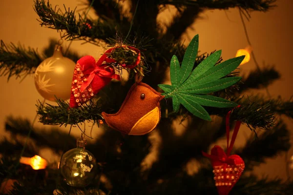Foglie Cannabis Giocattolo Fatte Mano Nel Becco Dell Uccello Cannabis — Foto Stock