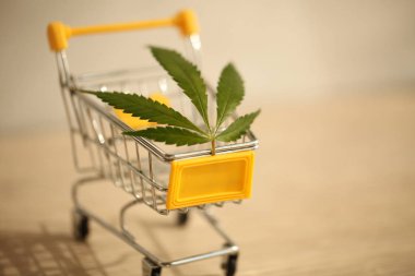 tıbbi esrar teslim kavramı 