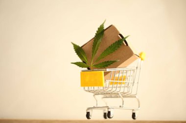 tıbbi esrar teslim kavramı 