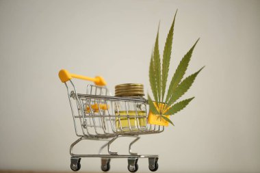 tıbbi esrar teslim kavramı 