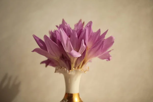 Tulipes Violettes Dans Vase Gros Plan — Photo