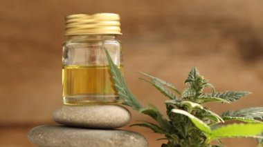 tıbbi esrar bitki yakın çekim 