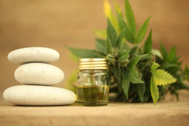 Kenevir yağı cbd kenevir 