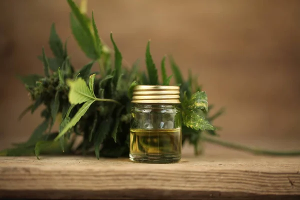 Kenevir yağı cbd kenevir 