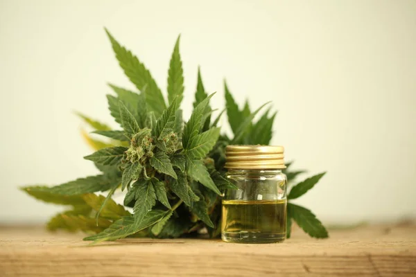 Aceite Cannabis Cbd Cáñamo — Foto de Stock