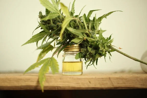 Olio Cannabis Cbd Canapa — Foto Stock