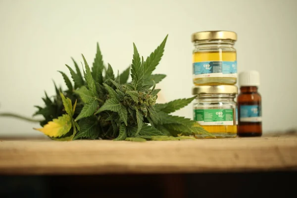 Cannabis Olie Cbd Hennep — Stockfoto