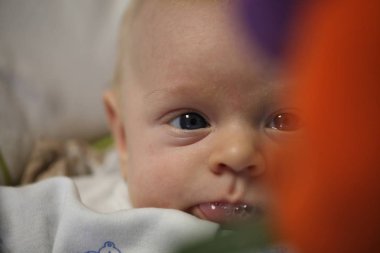 Komik bebek beşiği Noel ağacı karşı oynamak Oyuncaklar yatıyor