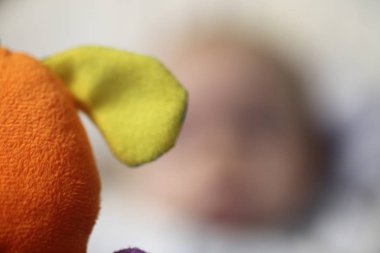 Komik bebek beşiği Noel ağacı karşı oynamak Oyuncaklar yatıyor