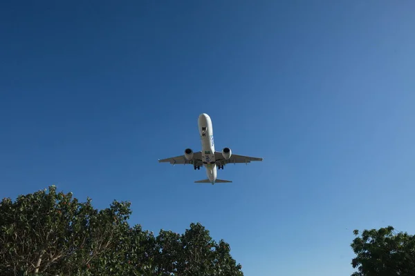 イスラエルのエイラト 2018 青い空とヤシの木の前にイスラエルの旅客航空会社が着陸します — ストック写真