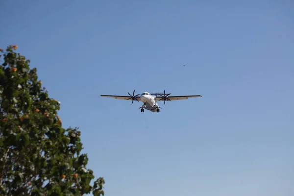 イスラエルのエイラト 2018 青い空とヤシの木の前にイスラエルの旅客航空会社が着陸します — ストック写真