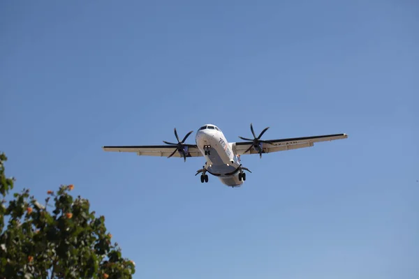 イスラエルのエイラト 2018 青い空とヤシの木の前にイスラエルの旅客航空会社が着陸します — ストック写真