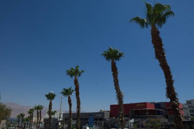 İsrail, Eilat, Haziran 2018. Eilat gün kentsel mimari sokak şehir beldesi.