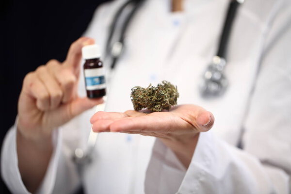 medical marijuana in the hand of a doctor. cannabis alternative medicine