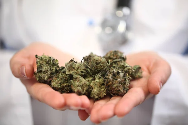 Medical Marijuana Hand Doctor Cannabis Alternative Medicine — Stock Photo, Image