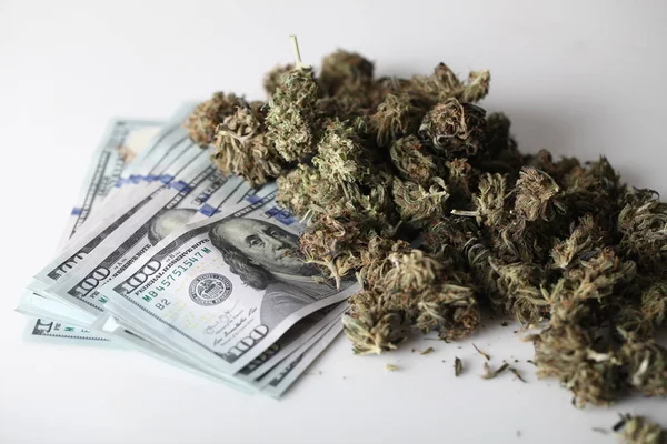 Kannabisz Üzleti Koncepció Orvosi Marihuána Pénz — Stock Fotó