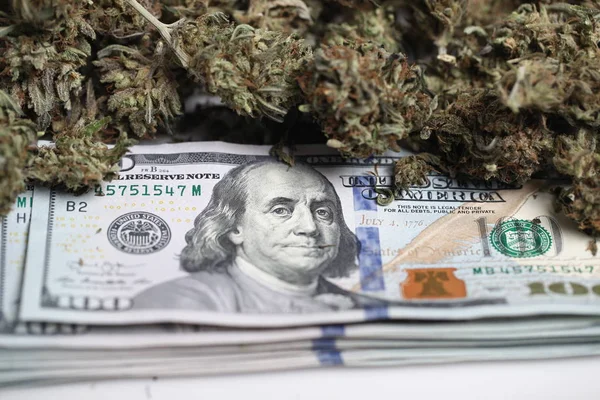 Concepto Negocio Cannabis Marihuana Medicinal Dinero — Foto de Stock