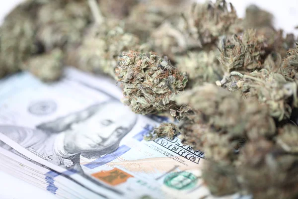 Concepto Negocio Cannabis Marihuana Medicinal Dinero — Foto de Stock