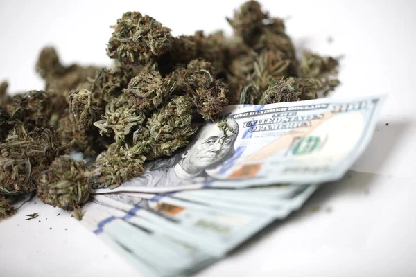 Kannabisz Üzleti Koncepció Orvosi Marihuána Pénz — Stock Fotó