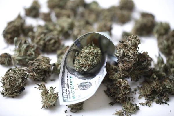 Concepto Negocio Cannabis Marihuana Medicinal Dinero —  Fotos de Stock