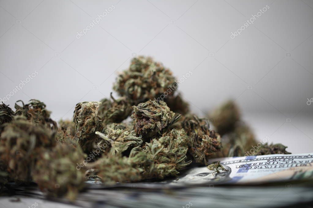 Медицинская марихуана бизнес браузер тор хотят запретить попасть на гидру