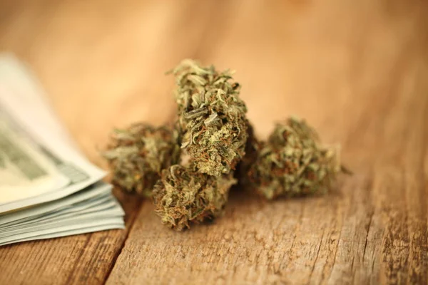 大麻商业概念 医用大麻和金钱 — 图库照片