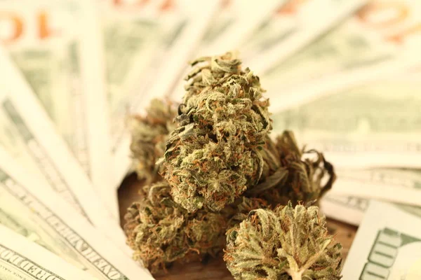 大麻のビジネス コンセプトです 医療大麻とお金 — ストック写真