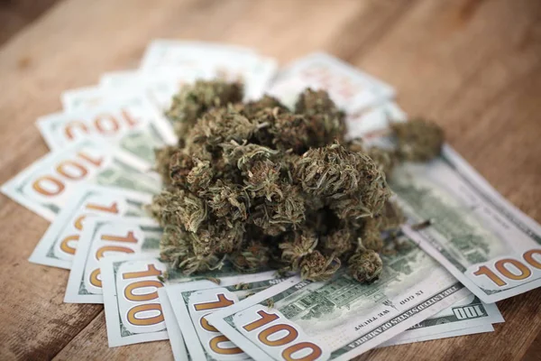 Kannabisz Üzleti Koncepció Orvosi Marihuána Pénz — Stock Fotó