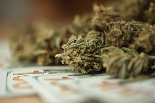 Cannabis Affärsidé Medicinsk Marijuana Och Pengar — Stockfoto