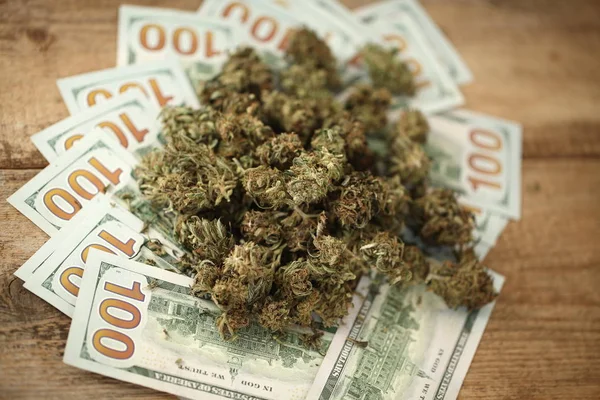 Concepto Negocio Cannabis Marihuana Medicinal Dinero —  Fotos de Stock