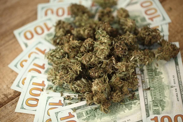 大麻のビジネス コンセプトです 医療大麻とお金 — ストック写真